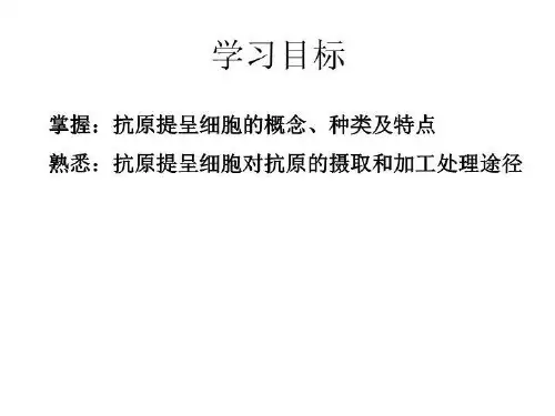 抗原提呈细胞抗原的加工与提呈ppt课件