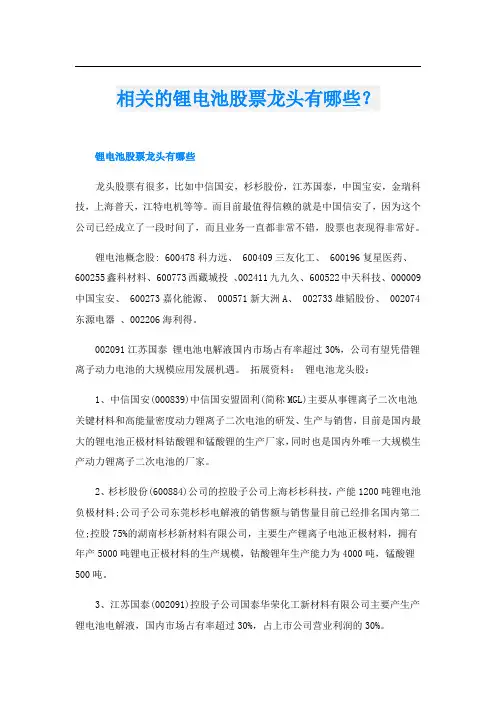 相关的锂电池股票龙头有哪些？