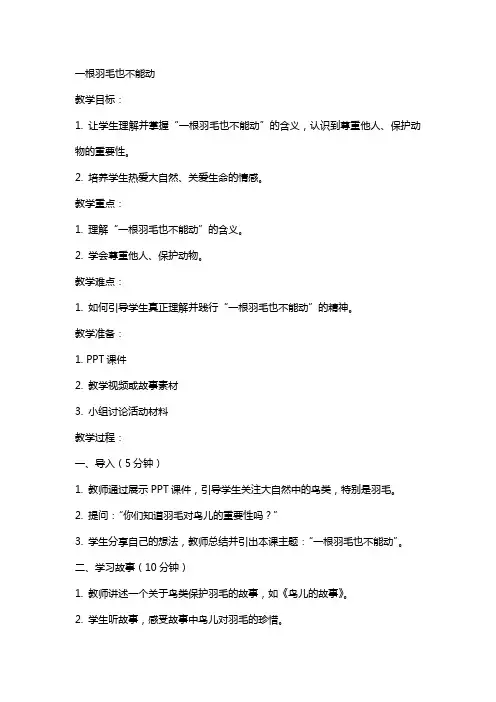 一根羽毛也不能动(教案)