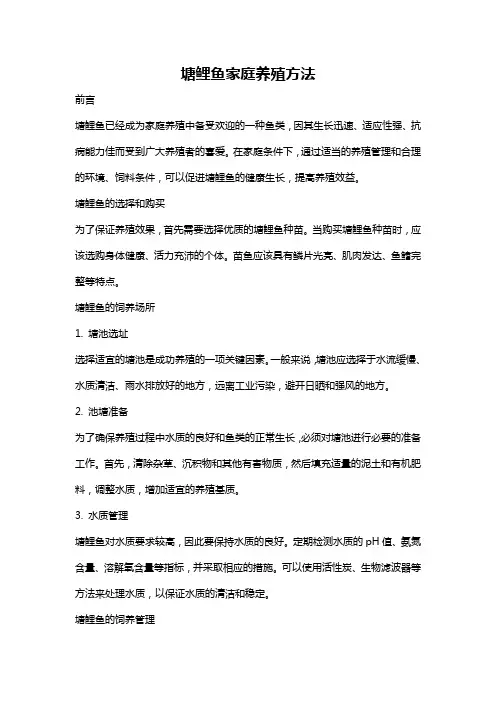 塘鲤鱼家庭养殖方法