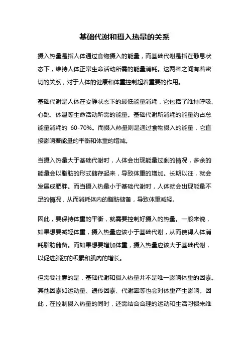 基础代谢和摄入热量的关系