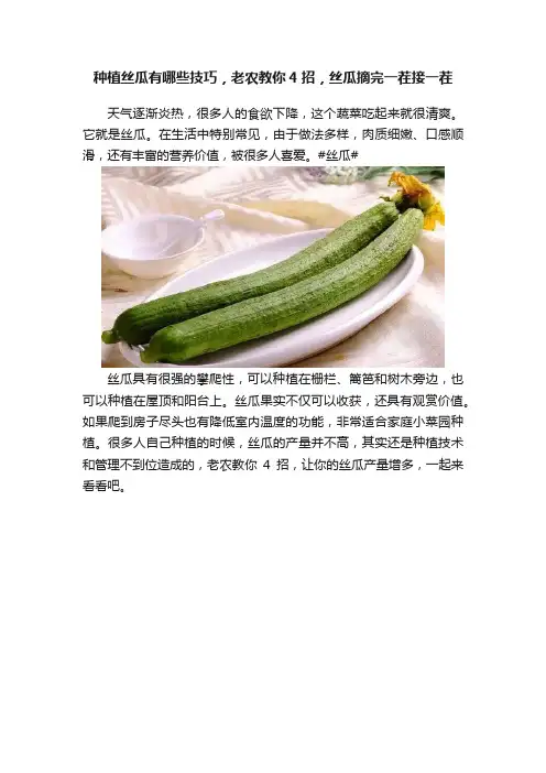 种植丝瓜有哪些技巧，老农教你4招，丝瓜摘完一茬接一茬