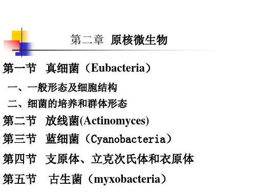 环境工程微生物学第二章-原核微生物(2)