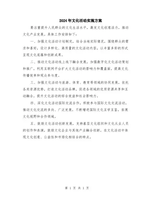 2024年文化活动实施方案