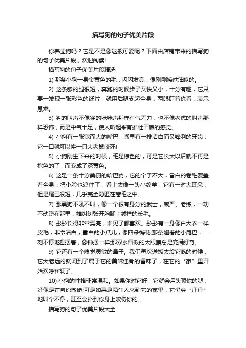 描写狗的句子优美片段
