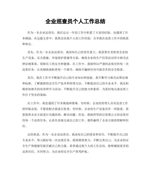 企业巡查员个人工作总结