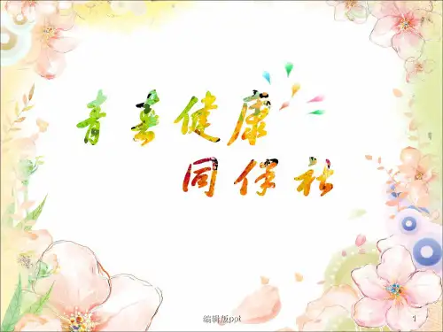 青春健康同伴教育PPT课件