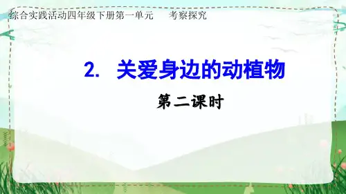 四下综合《关爱身边的动植物》第2课时优秀课件
