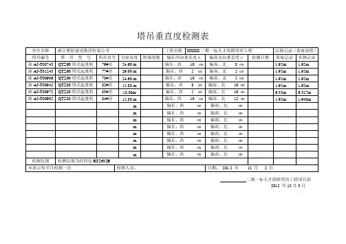塔吊垂直度检测表