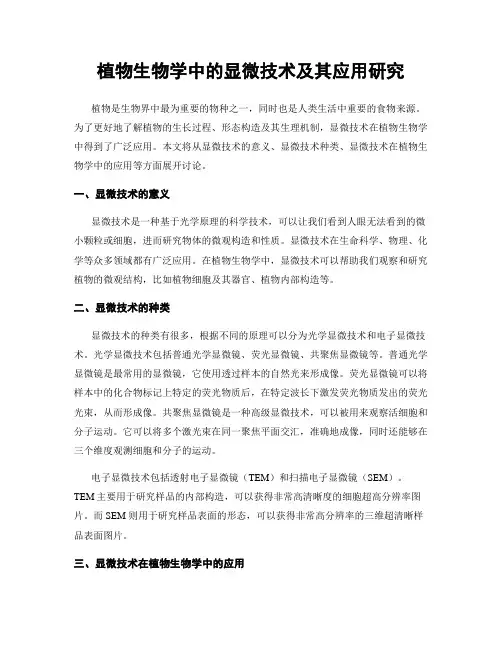 植物生物学中的显微技术及其应用研究