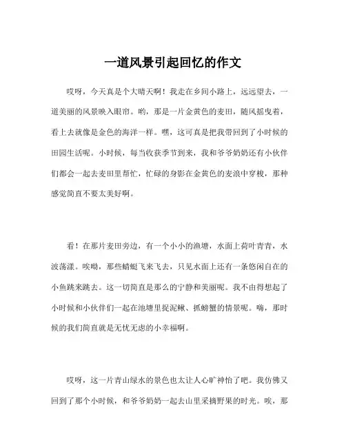 一道风景引起回忆的作文