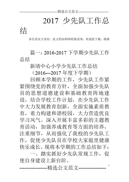 2017少先队工作总结