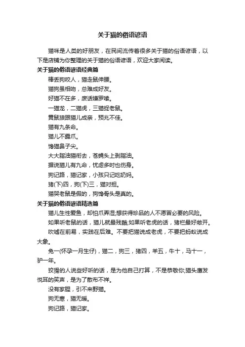 关于猫的俗语谚语