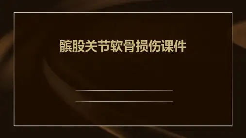 髌股关节软骨损伤课件