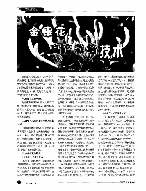金银花高产栽培技术