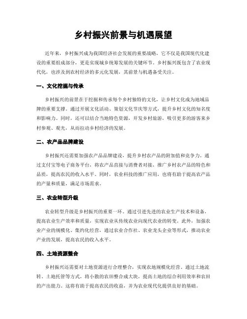 乡村振兴前景与机遇展望
