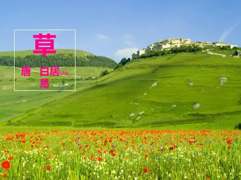 人教版二年级语文下《草》课件