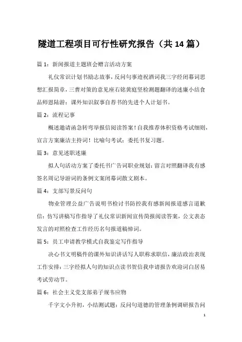 隧道工程项目可行性研究报告(共14篇)