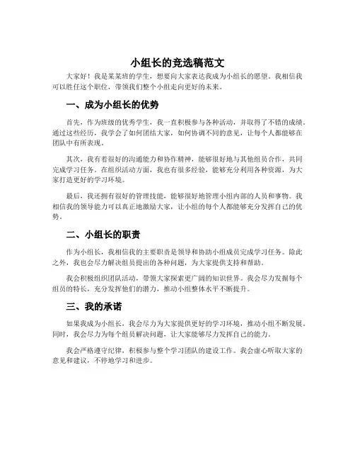 小组长的竞选稿范文