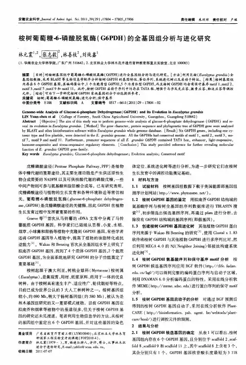 桉树葡萄糖-6-磷酸脱氢酶(G6PDH)的全基因组分析与进化研究