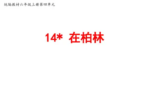 最新部编人教版语文六年级上册第14课《在柏林》公开课PPT课件