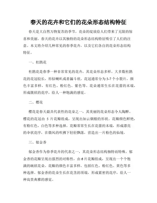 春天的花卉和它们的花朵形态结构特征