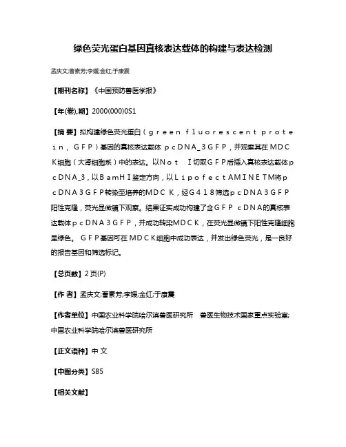 绿色荧光蛋白基因真核表达载体的构建与表达检测