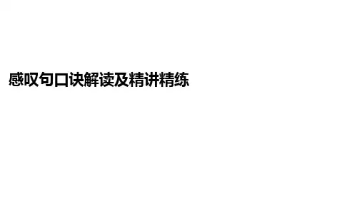 中考英语二轮语法专题复习 感叹句口诀解读及精讲精练