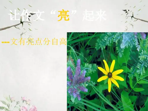 作文-初中作文指导：让作文“亮”起来ppt优秀PPT