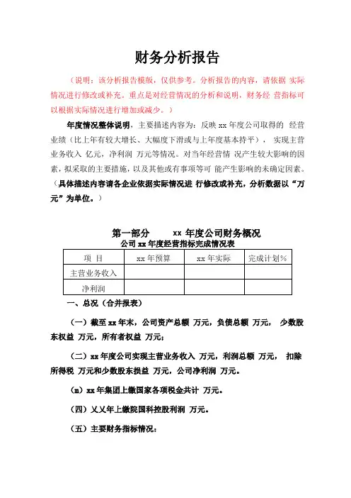 年财务报告模板