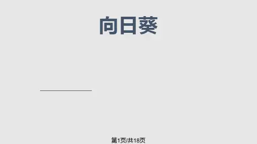 少儿美术向日葵国画PPT课件