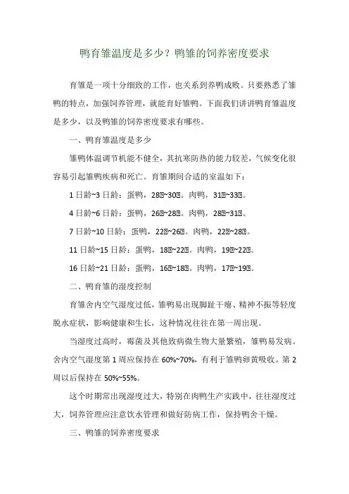 鸭育雏温度是多少？鸭雏的饲养密度要求