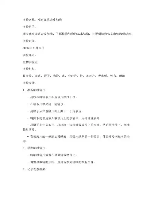 洋葱生物实验报告