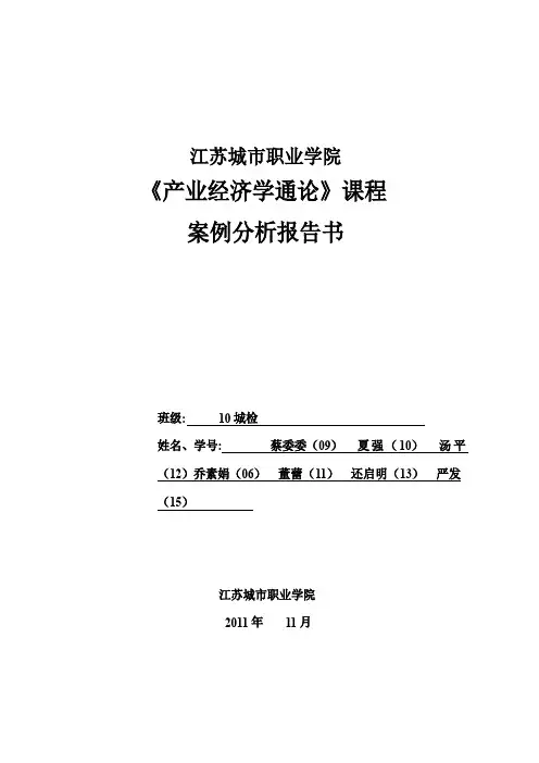 《产业经济学通论》案例分析报告