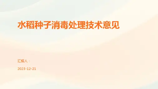 水稻种子消毒处理技术意见