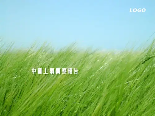 中国网民上网行为综合分析[教学]幻灯片PPT