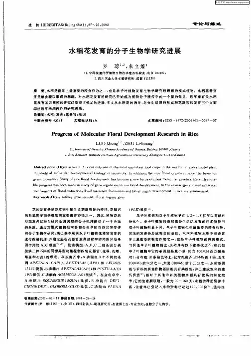 水稻花发育的分子生物学研究进展
