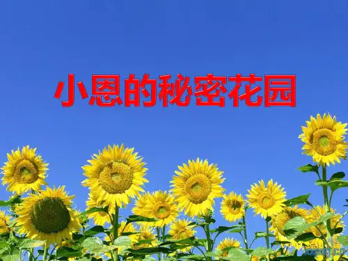小恩的秘密花园 课外阅读PPT课件