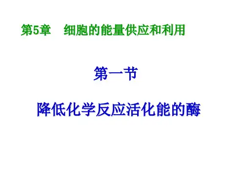 人教版生物必修一5.1降低化学反应活化能的酶(共75张PPT)