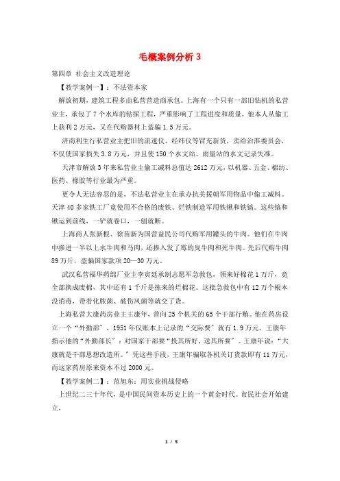 毛概案例分析3