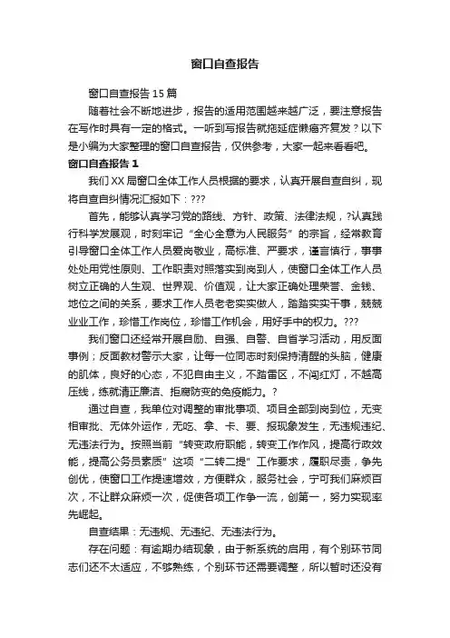 窗口自查报告15篇