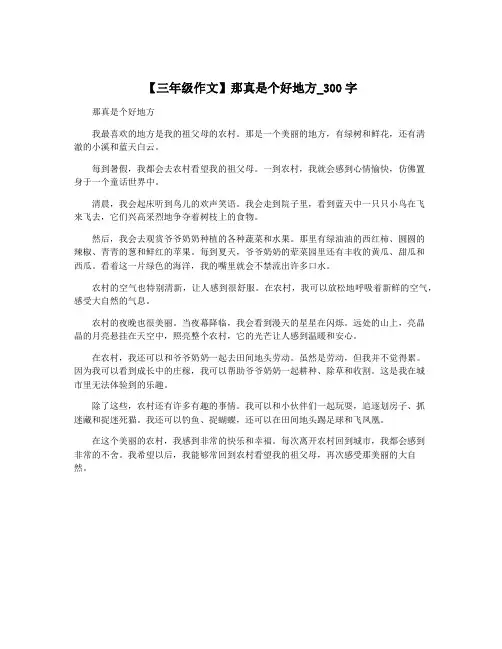 【三年级作文】那真是个好地方_300字