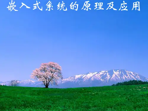 S3C2410简介