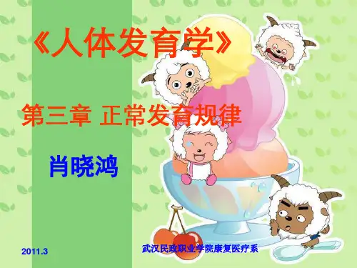 人体发育学_1ppt课件