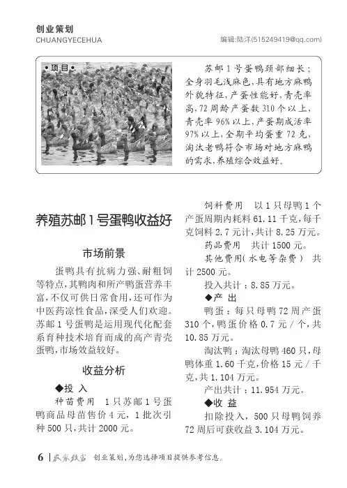 养殖苏邮1号蛋鸭收益好