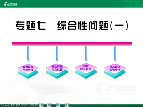 专题七 综合性问题（一）课件