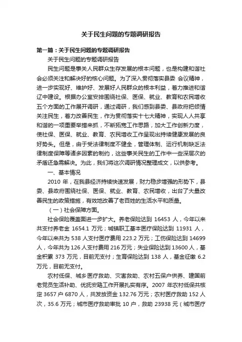 关于民生问题的专题调研报告