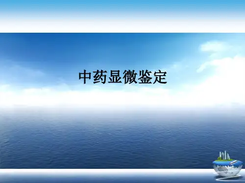 中药显微鉴定演示文稿 (2)