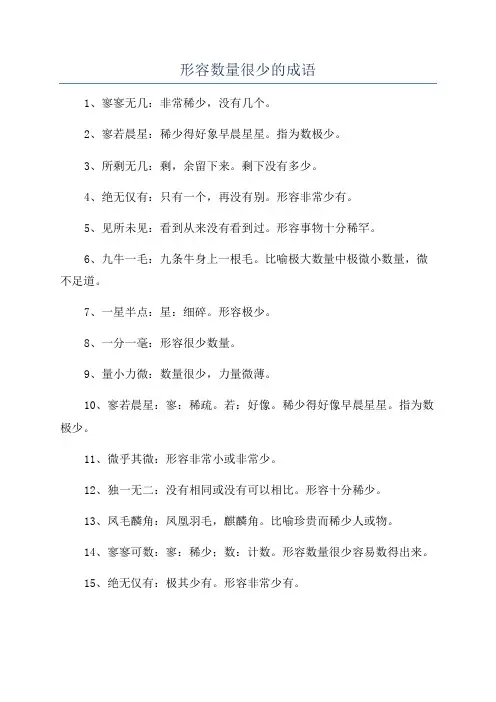 形容数量很少的成语
