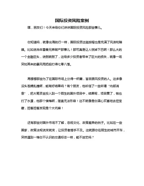 国际投资风险案例
